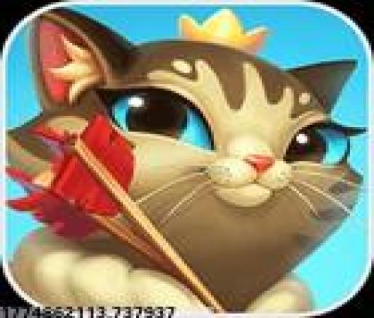 热血街篮果盘版